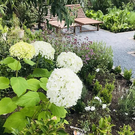 Lejlighed - Entspannung - Klein Trebbow *