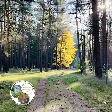 Klugersee-Domizil Апартаменты Нойштрелиц